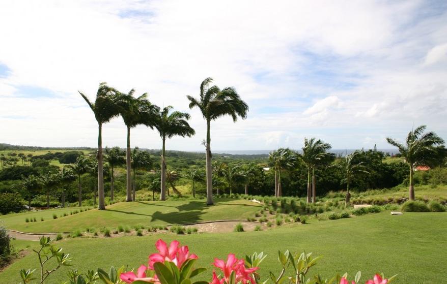 Coconut Grove 1, Luxury Villa By Island Villas Saint James Rum bild