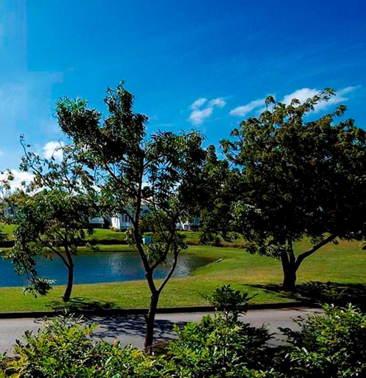 Coconut Grove 1, Luxury Villa By Island Villas Saint James Exteriör bild